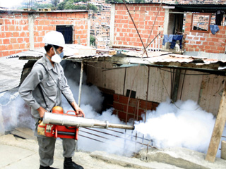 fumigacion-dengue