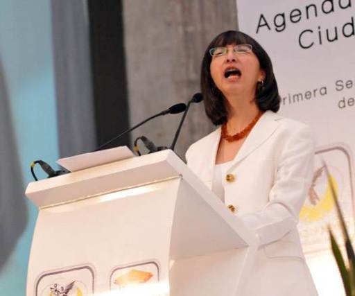 mara robles villaseñor