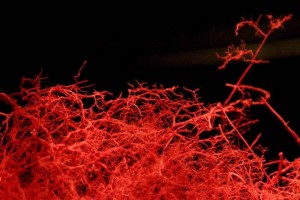 tejidos_humanossinteticos