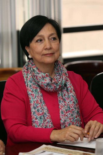 Amalia García Medina