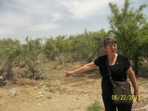 11448_304300616372494_1879583451_n