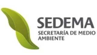 sedema