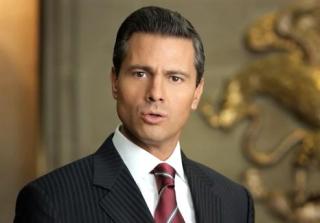 epn primer informe