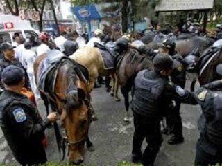 caballos estampida