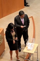 SENADO DE LA REPÚBLICA