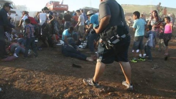 TrocaMonstruoChihuahua