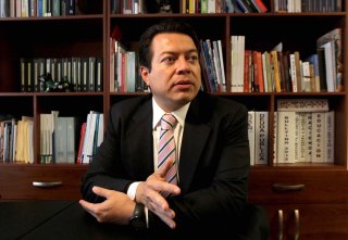 ENTREVISTA CON MARIO DELGADO CARRILLO