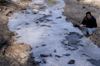 AMANECE ROSILLA A 8 BAJO CERO