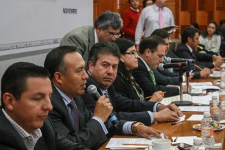 diputados locales