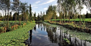 xochimilco-