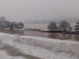 NEVADA EN MUNICIPIOS DE CHIHUAHUA