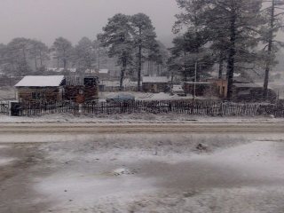 NEVADA EN MUNICIPIOS DE CHIHUAHUA