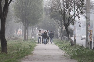 EMPIEZAN EL AÑO BIEN ABRIGADOS