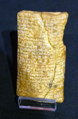 REVELA SECRETOS DEL ARCA DE NOÉ