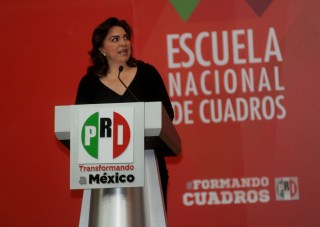 17.IOP.08-FEB-2014-ICADEP_AUD.PLUTARCO