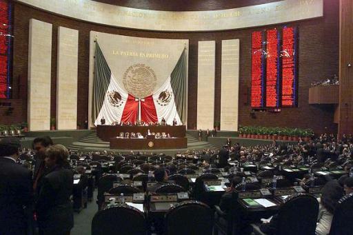 camara dip