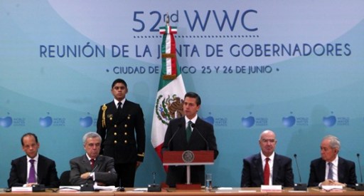 12 - med - arielñgtz- IMG_1930