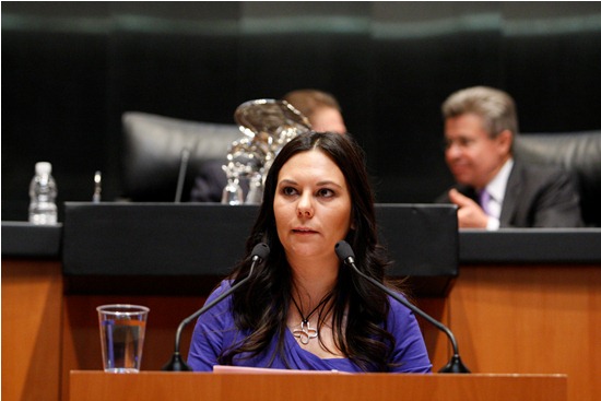 Laura Angélica Rojas Hernández