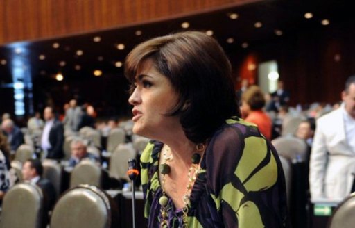 Raquel Jiménez Cerrillo