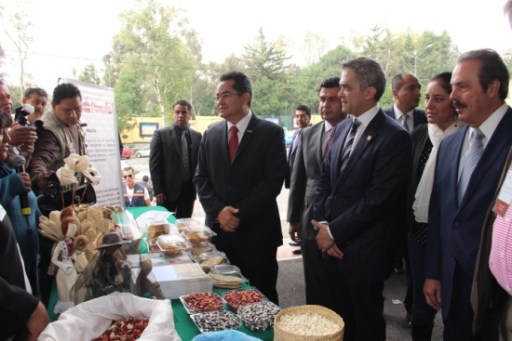 020714 FOTO MIGUEL ÁNGEL MANCERA- CAMPO EN CASA 6