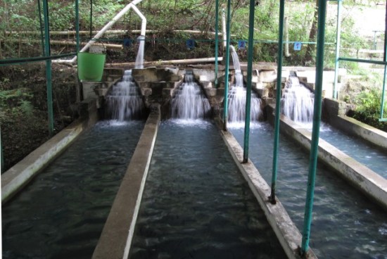 ?????????????????????????????????????????????????????????????????