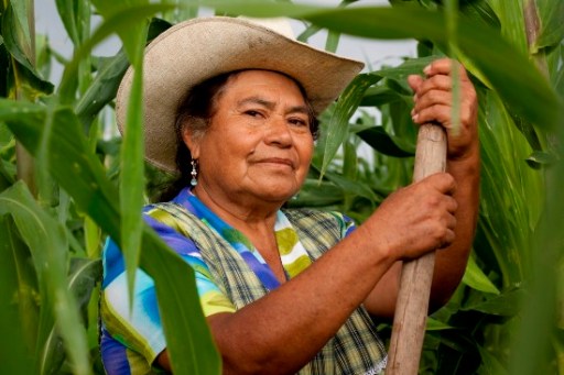 mujer campesina