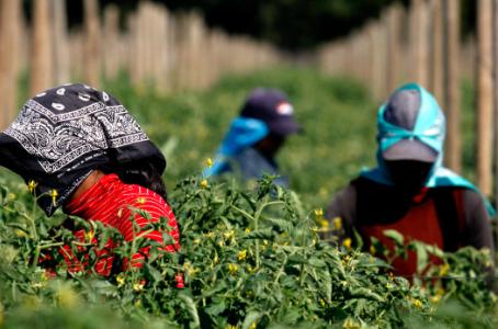 trabajadores temporales
