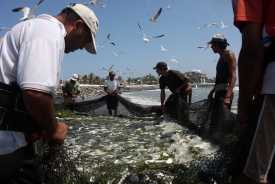 pescadores1