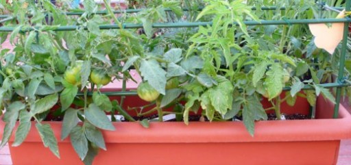 jardineras agroalimentarias