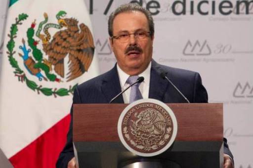 mtnez y mtnez 17 12 14