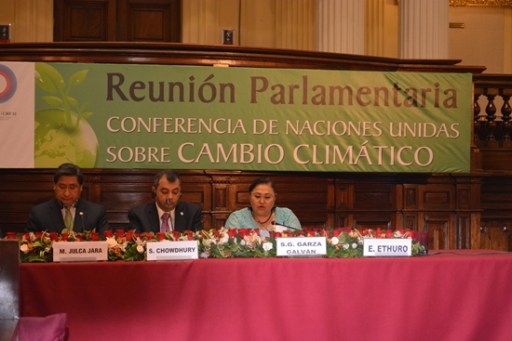 SILVIA GARZA COP 20 (3)