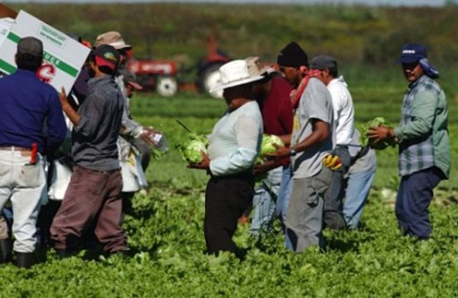trabajadores temporales
