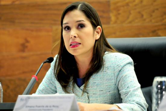 Ximena Puente de la Mora