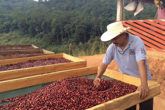 ???????????????????????????????????????????????????????????????