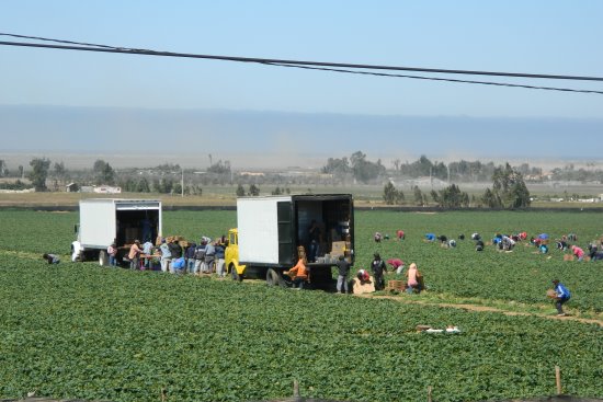 ???????????????????????????????