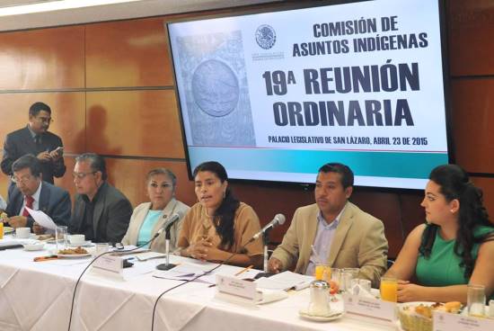 asunto indigenas cam dip