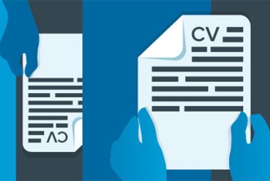 feria empleo virtual