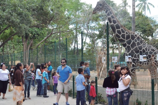 zoologico