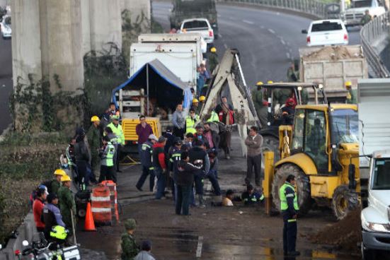 socabon constituyentes