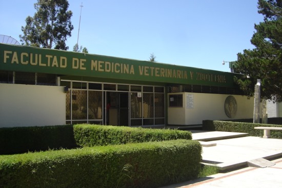 veterinaria uaem