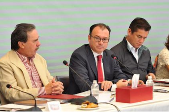 videgaray plenaria pri