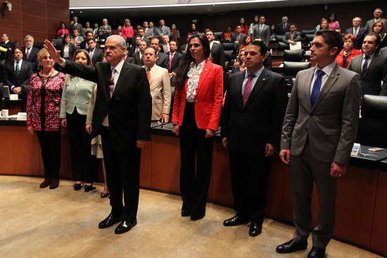 Miguel Basáñez Ebergenyi protesta