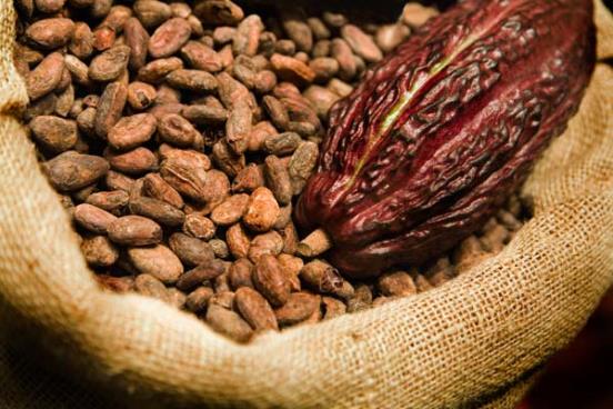 cacao