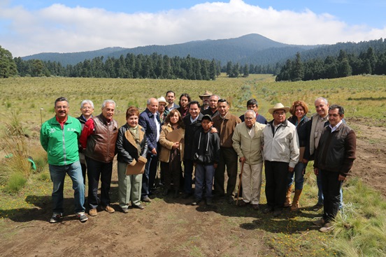 reforestacion marqueza