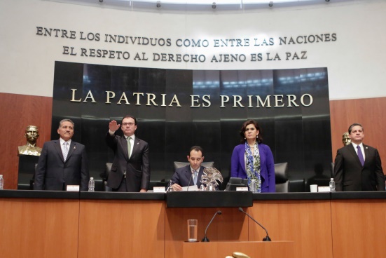 videgaray glosa 7 10