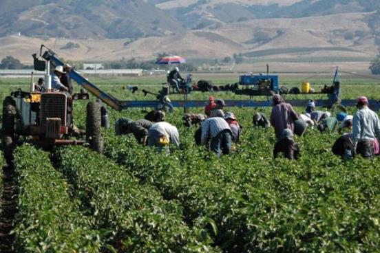 campo canada migrantes
