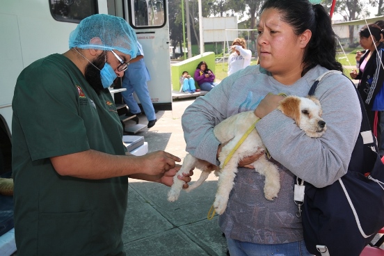 Fotos medio ambiente (1)