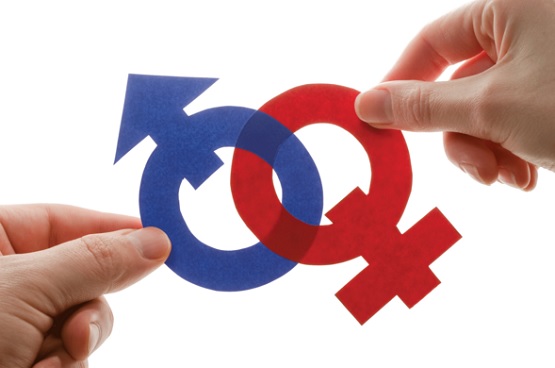 igualdad de genero