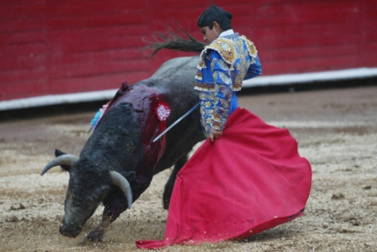 niño torero
