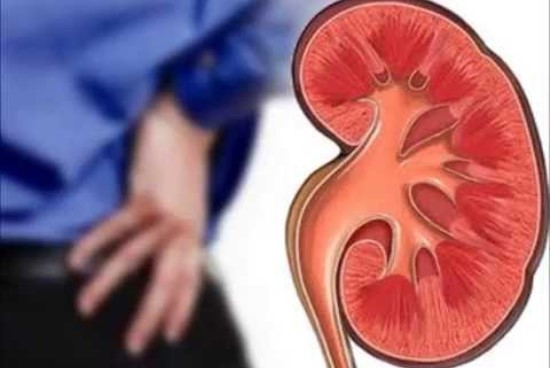 insuficiencia renal